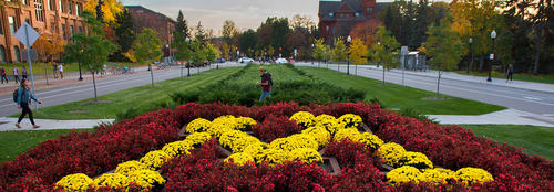 View of campus from Pillsbury Drive with block M designed in landscape with flowers